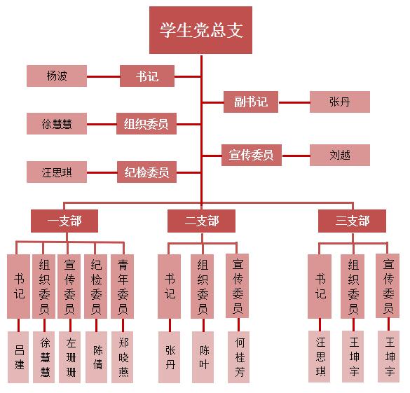 学生党总支组织结构图