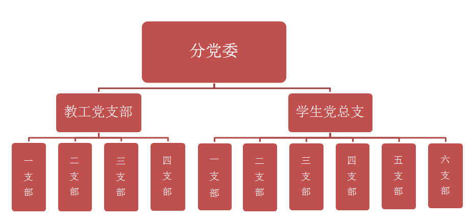 分党委组织机构图